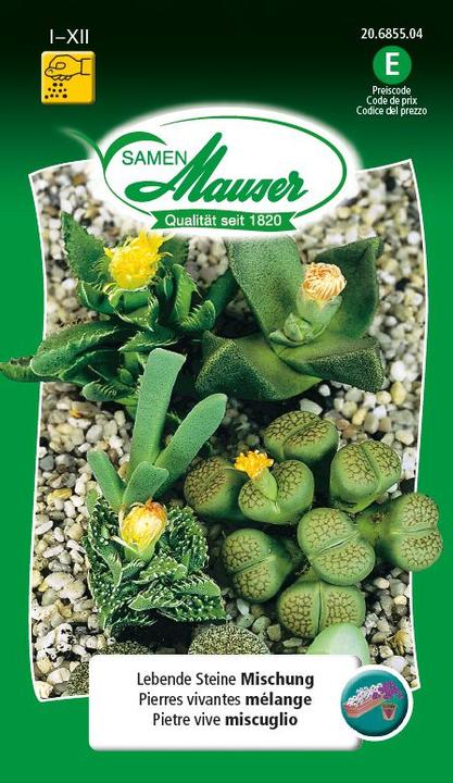 Image du produit Samen Mauser Mélange de pierres vivantes (Graines de plantes)
