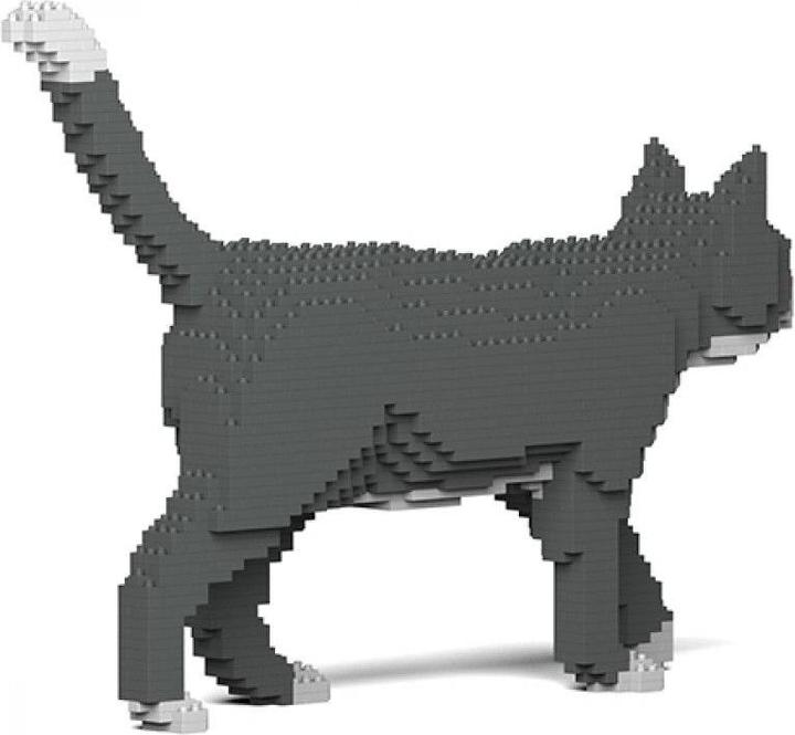 Image du produit Jekca Limited Chat gris/blanc