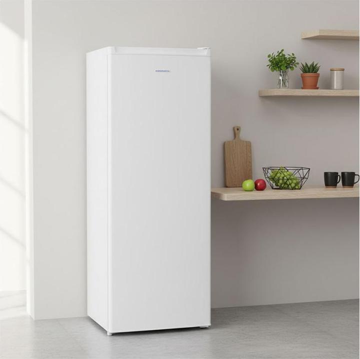 Actual product image Kibernetik FSP freezer (Stand-alone, 168 l)