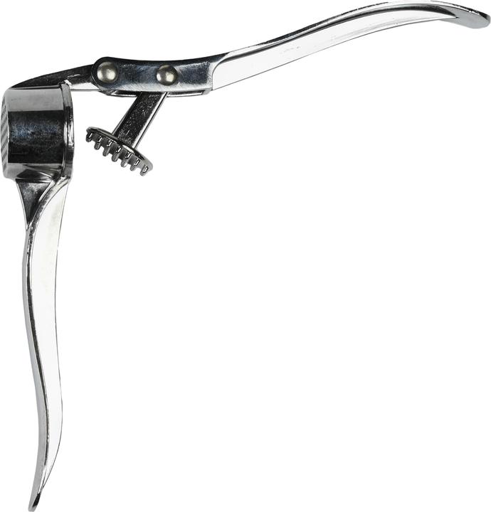 Actual product image Benson Home Knoblauchpresse