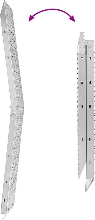 Image du produit vidaXL Laderampe