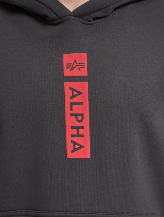 Immagine prodotto Alpha Industries Logo BP Hoodies - 145441 (M)