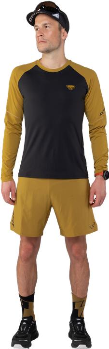 Actual product image Dynafit Alpine Pro L/S Tee (M)