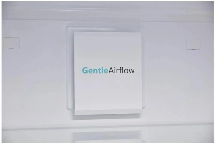 Actual product image Sharp SJ-BA09RMXLC-EU (294 l)