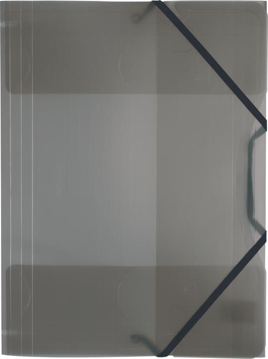 Image du produit Folia Dossier de collecte en plastique avec élastique