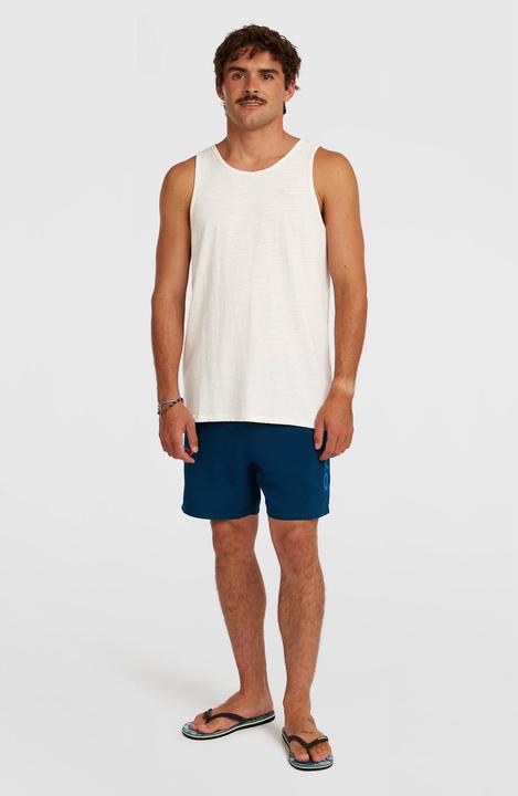 Image du produit O'Neill Beachshorts Logo (M)