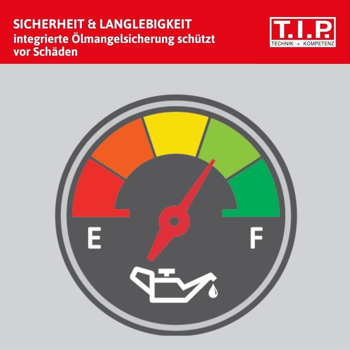 Actual product image T.I.P. LTP 500/30 V, Aluminiumdruckguss (Garden pump)