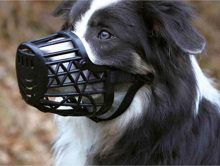 Actual product image Trixie Muzzle (XL, Dog, Walks)