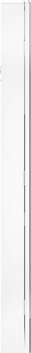 Immagine prodotto vidaXL Spiegel-Schmuckschrank (31.50 x 106 cm)