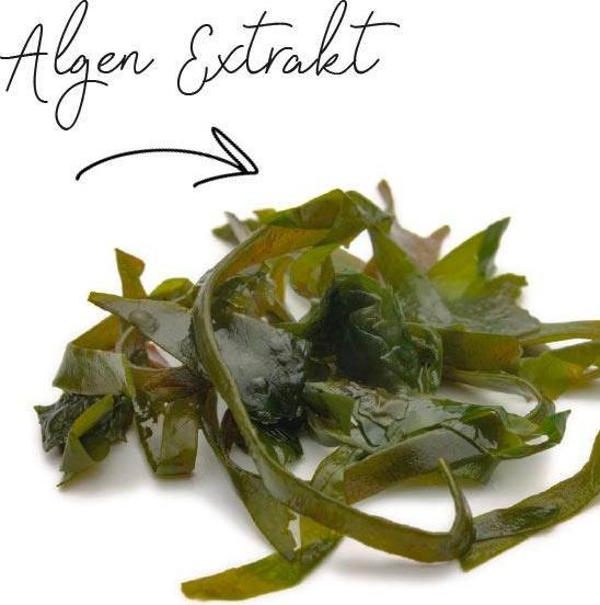 Actual product image Basler Premium Detox Intense Nourisher (200 ml)