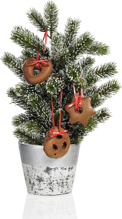 Immagine prodotto Lurch Flexi®Form Lebkuchen