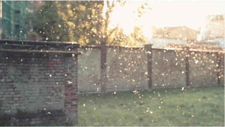 Actual product image Electrolux Pure A9 BREATHE360 Pollen Protect Filter (1 x)