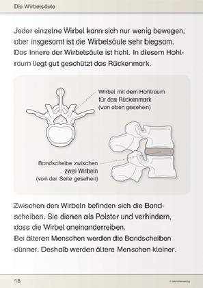 Immagine prodotto Ich kenne meinen Körper - Skelett, Muskeln und Wirbelsäule (Tedesco, Katrin Langhans, 2015)