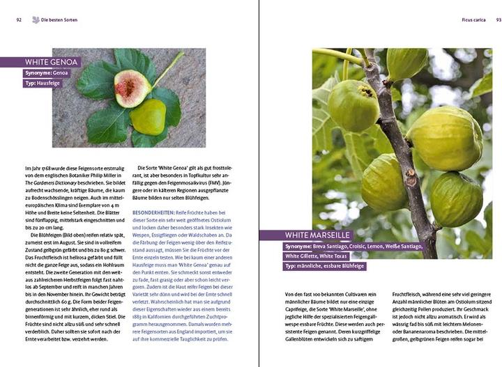 Actual product image Feigen aus dem eigenen Garten (German, Christoph Seiler, 2022)