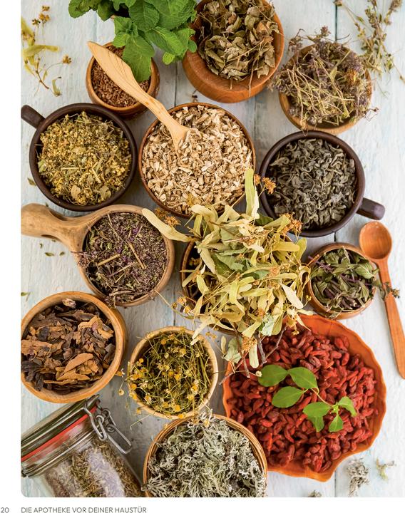 Die Apotheke vor deiner Haustür (Deutsch, smarticular Verlag, 2024)