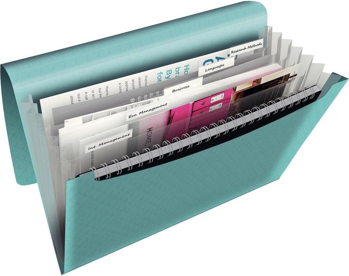 Immagine prodotto Esselte Cartella del progetto (A4, 1 x)