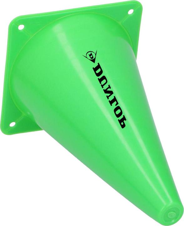 Actual product image Dunlop Pylons