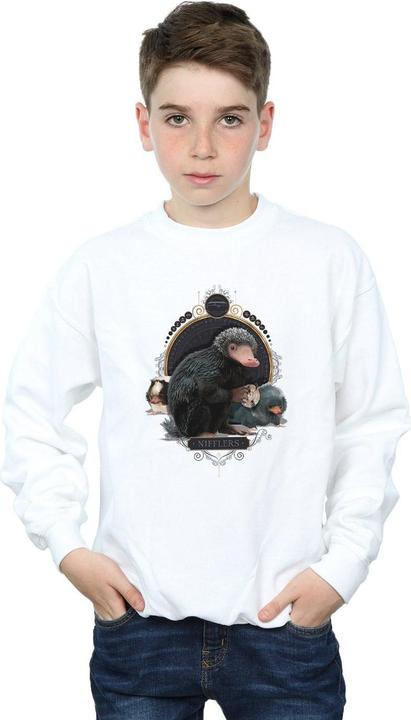 Produktbild Fantastic Beasts Baby Nifflers Sweatshirt Jungen (140, 146)
