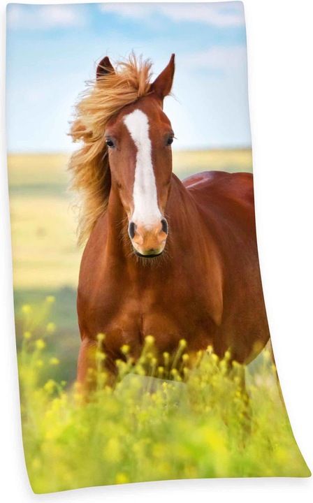 Image du produit Herding Cheval (75 x 150 cm)