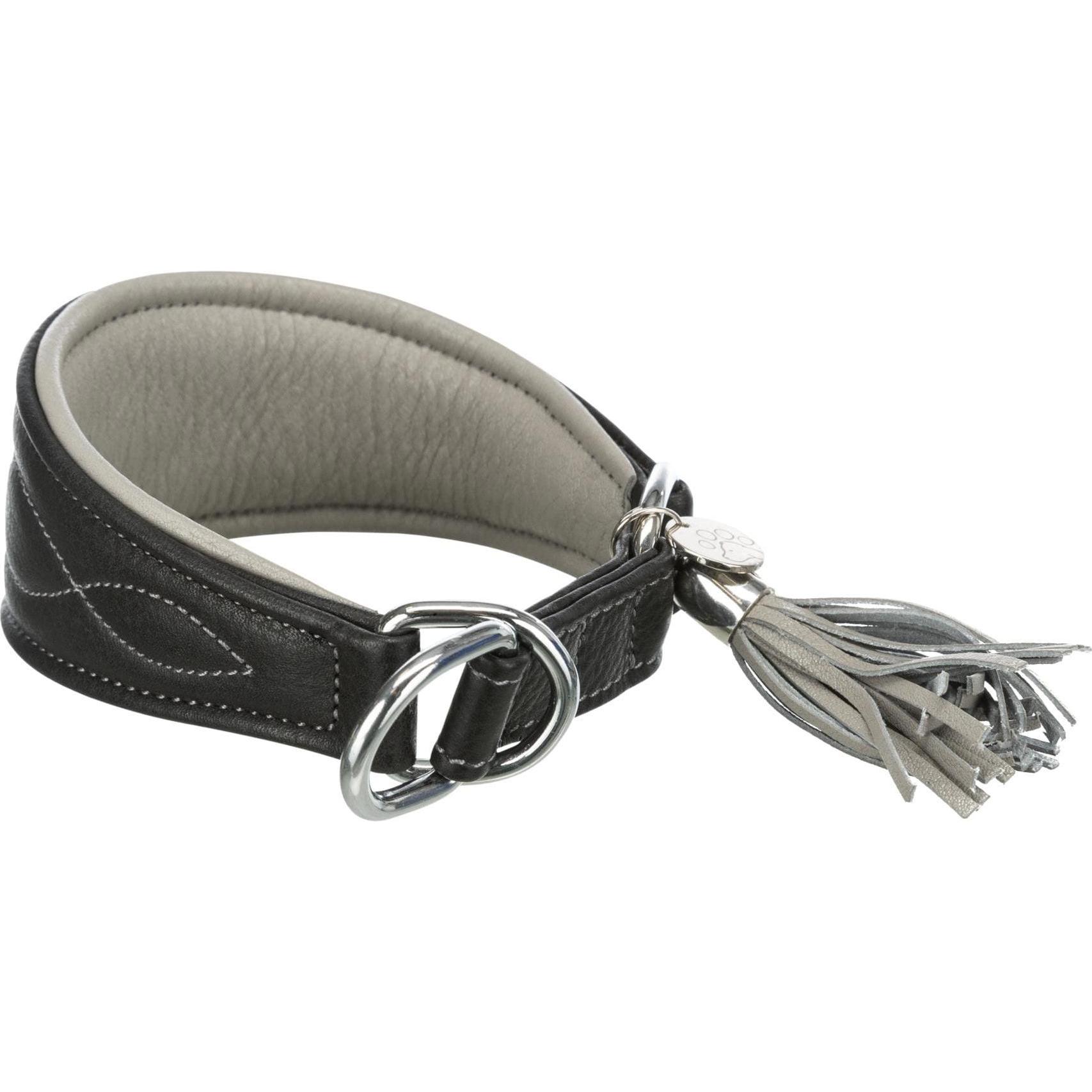 Trixie Halsband Active Comfort mit Zug-Stopp (S, M, Hund, Allgemein), Halsband + Leine