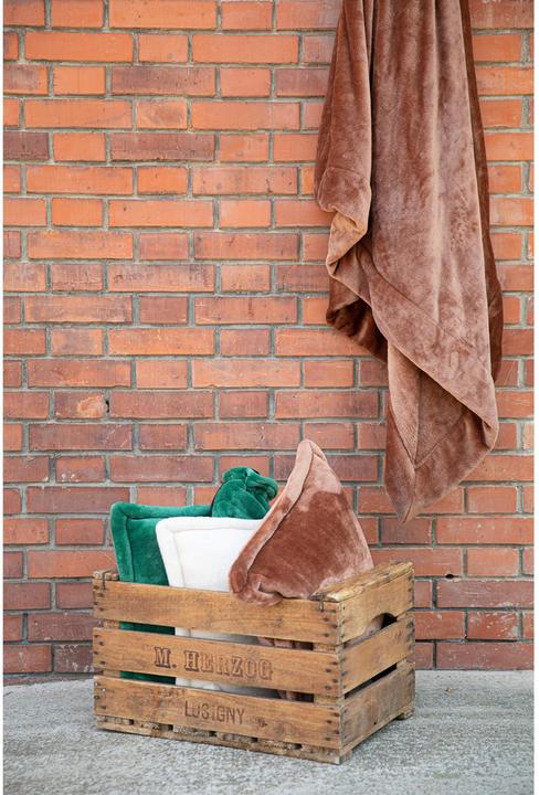 Produktbild VIVARAISE Tender (200 x 150 cm)