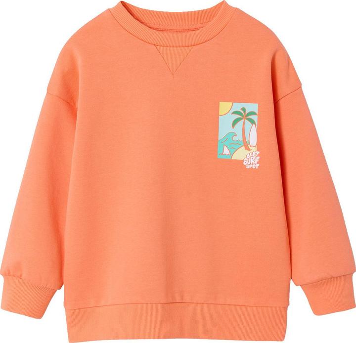 Image du produit Vertbaudet Jungen Sweatshirt mit Sommer-Motiv (110)