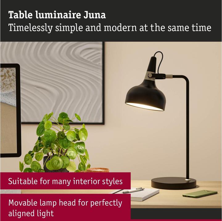 Image du produit Paulmann Juna (E14)