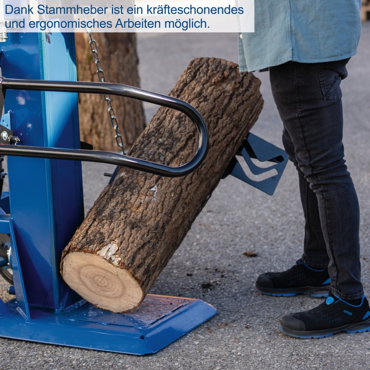 Actual product image Scheppach HL3000GM