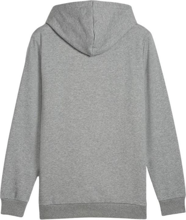 Puma Ess+ Logo LAB Gradient Hoodie FL