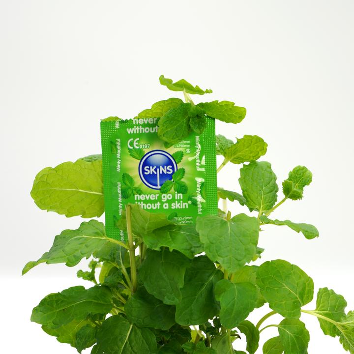 Image du produit Skins Mint" 4 préservatifs à l'arôme subtil de menthe - sans odeur de latex (4 pcs)