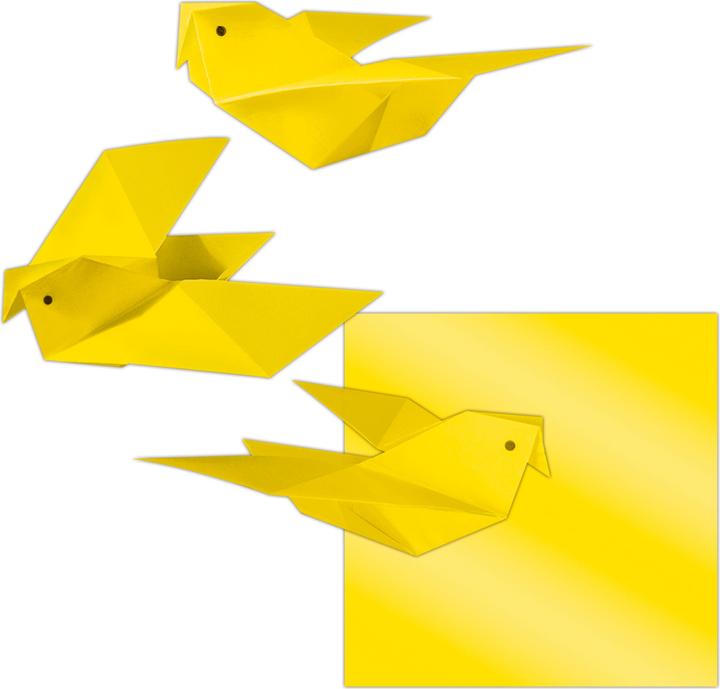 Actual product image Ursus Transparent paper folders, 14 x 14 cm (42 g/m², 100 x)