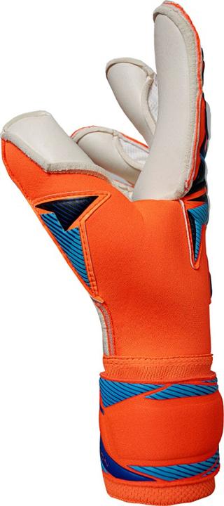 Actual product image Reusch Attrakt Gold X Evolution (8)
