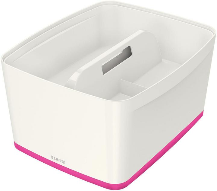 Actual product image Leitz MyBox Large with lid (31.80 cm, 18 l, 1x)