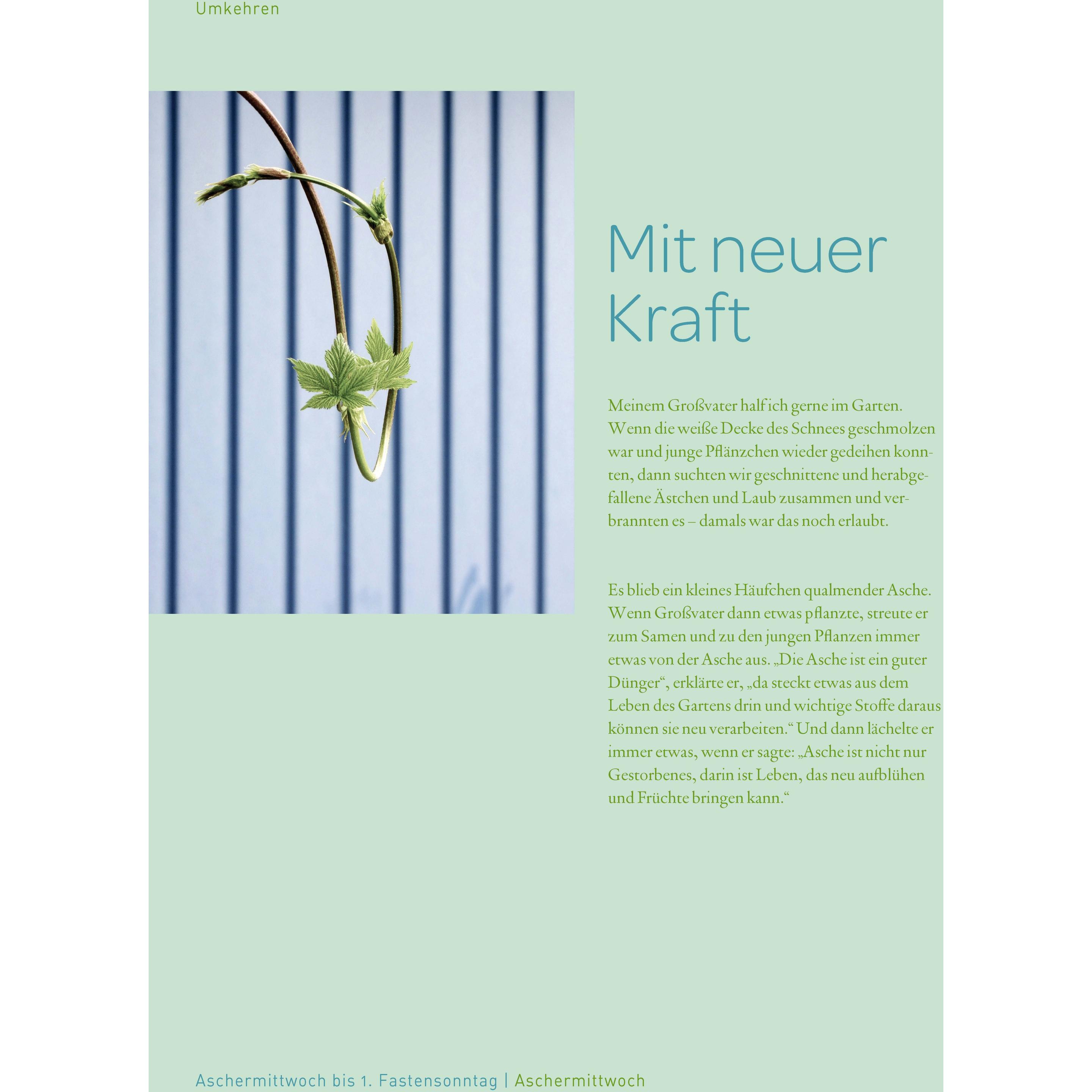 Thumbnail - Fastenkalendergeschichten, Sachbücher von Willi Hoffsümmer