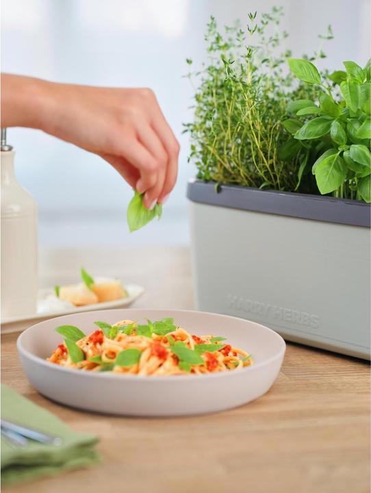 Actual product image Gusta Garden Harry Herbs (35.80 x 15 x 25 cm)