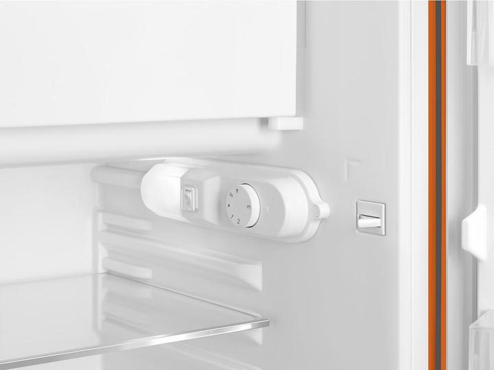 Actual product image Smeg Retro Style FAB10ROR5 (122 l)