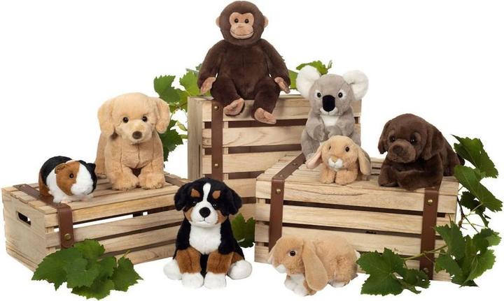 Immagine prodotto Teddy Hermann Cane da montagna bernese seduto, circa 26 cm (26 cm)