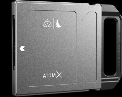 Produktbild Angelbird AtomX SSDmini (1000 GB, SATA)