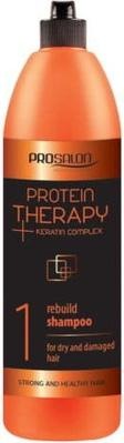 Chantal Prosalon Protein Therapy Keratin Complex 1 Shampoo For Dry And Damaged Hair Restorative (Flüssiges Shampoo)
