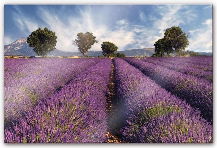 Produktbild Trenddeko Lavendelfeld (100 x 70 cm)