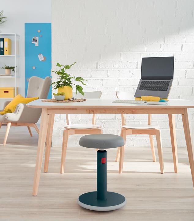 Actual product image Leitz Ergo Cosy Active (46 - 79 cm)