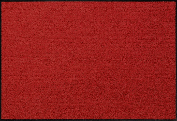 Rot