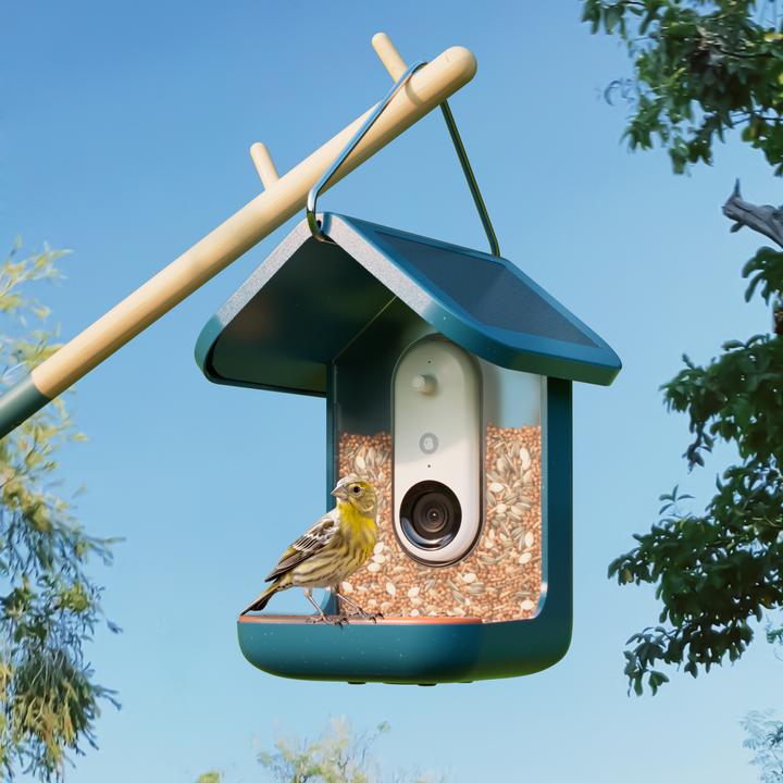 Image du produit Bird Buddy Mangeoire d'oiseaux intelligente 2.0