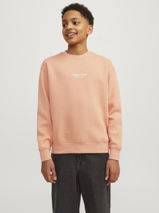 Produktbild Jack & Jones Jorvesterbro Sweat Crew Neck Bn Mni (122)
