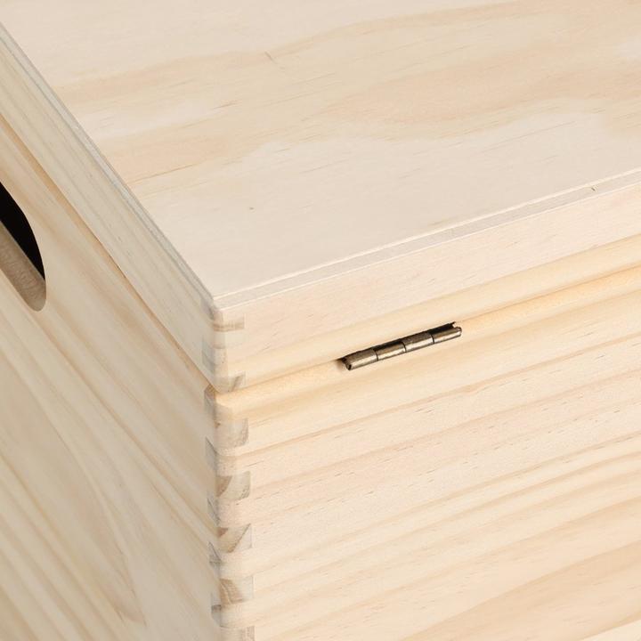 Actual product image Zeller Present All-purpose box (30 cm, 29 l, 1x)