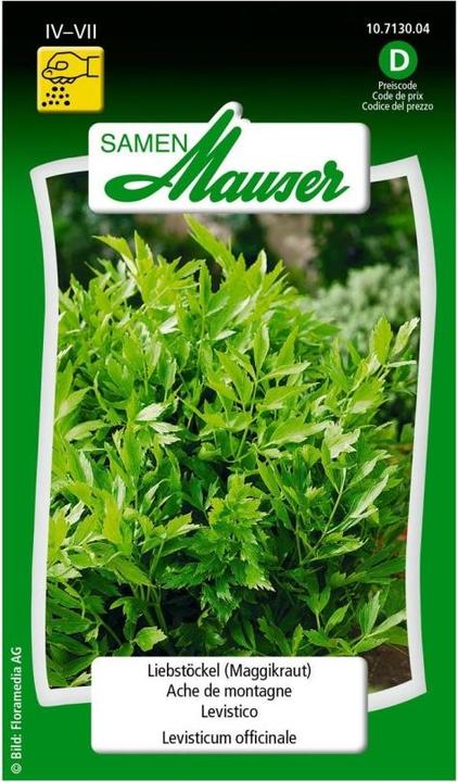 Image du produit Samen Mauser Liebstöckel (Graines d'herbes aromatiques)