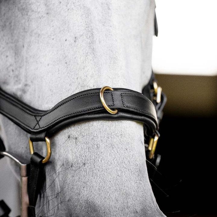 Image du produit Horseware Micklem Multi