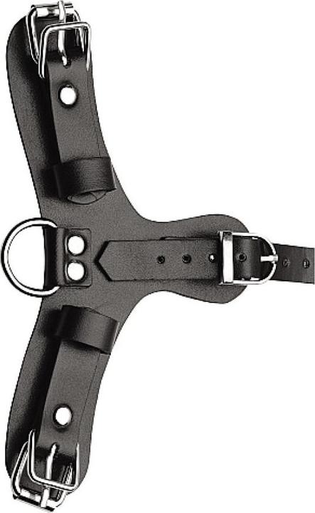 Actual product image Master Series Puppy Play Masker Met Ballgag Zwart