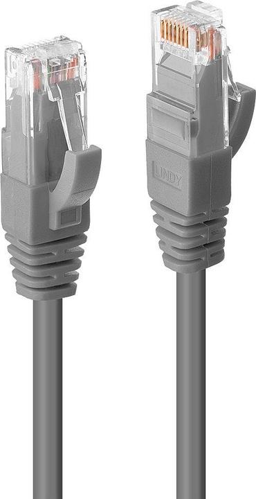 Actual product image Lindy Network cable (UTP, CAT6, 1 m)
