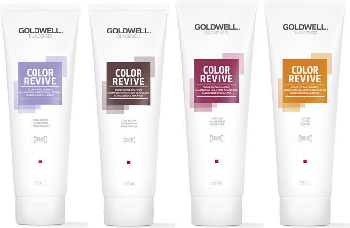 Actual product image Goldwell Color Revive Color Giving Shampoo Cool Brown Shampoo (250 ml, Liquid shampoo)